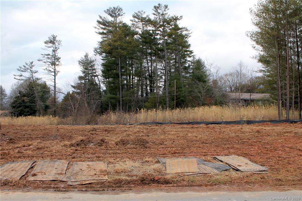TBD Haywood Park Drive - Photo 1