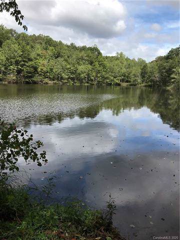130 Lake Mountain Lane - Photo 1