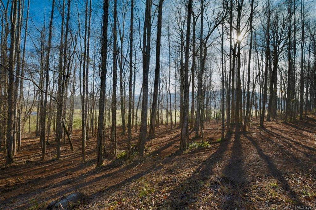 650 Walnut Valley Parkway - Photo 1