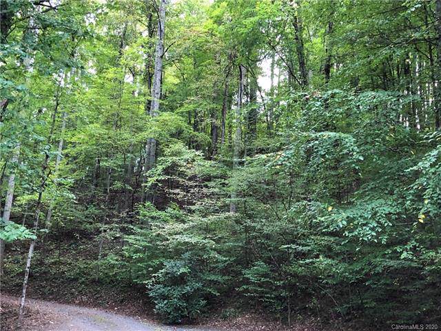0000 Hardwood Road - Photo 1