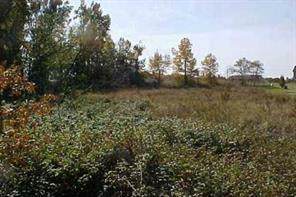 1603 Lewis Farm Road - Photo 1