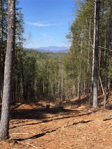Lot 705 Highland River Road - Photo 1