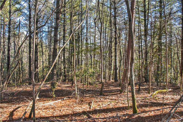 29 Buffalo Creek Drive - Photo 1