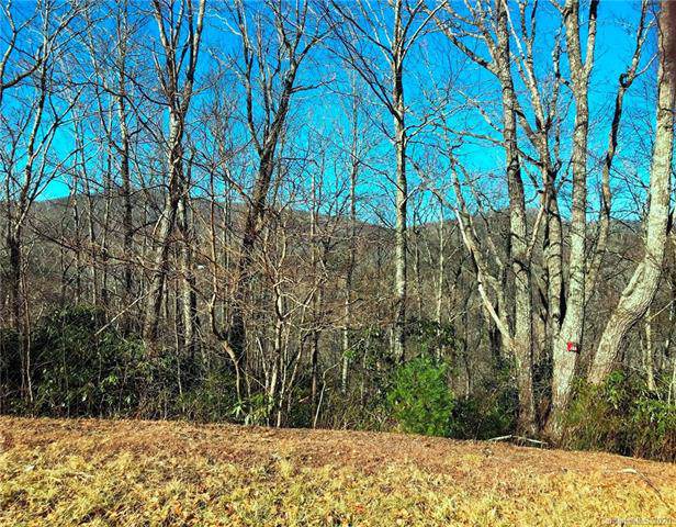 Lot# 122 Firethorn Trail - Photo 1