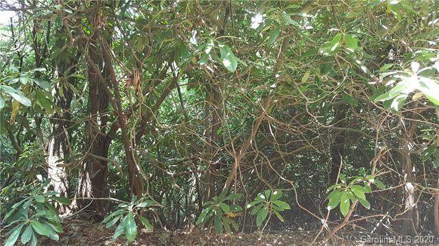 0 Willow Lake Drive - Photo 1