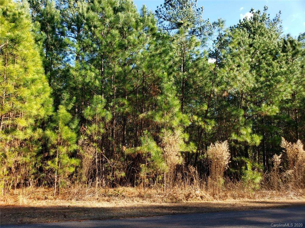 0 Loblolly Lane - Photo 1