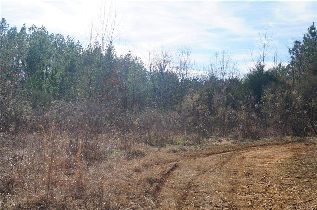 346,362,308 Smith Valley Road - Photo 1