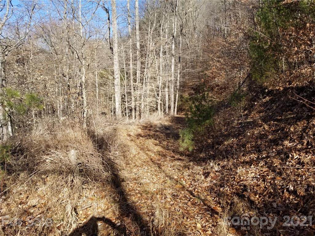 000 Hamlet Drive - Photo 1