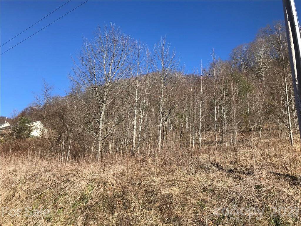 5110 Liner Creek Road - Photo 1