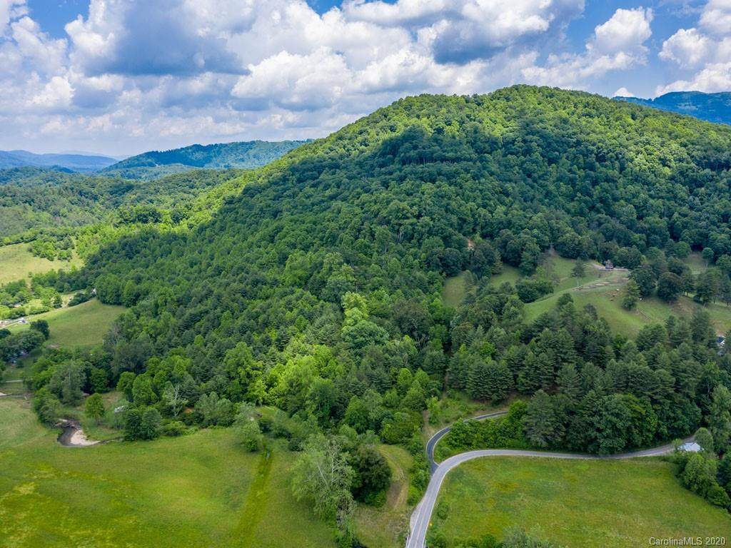 1121 Prices Creek Road - Photo 1