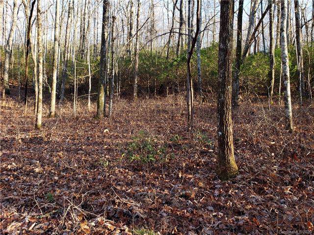 Lot 47 Big Branch Road - Photo 1