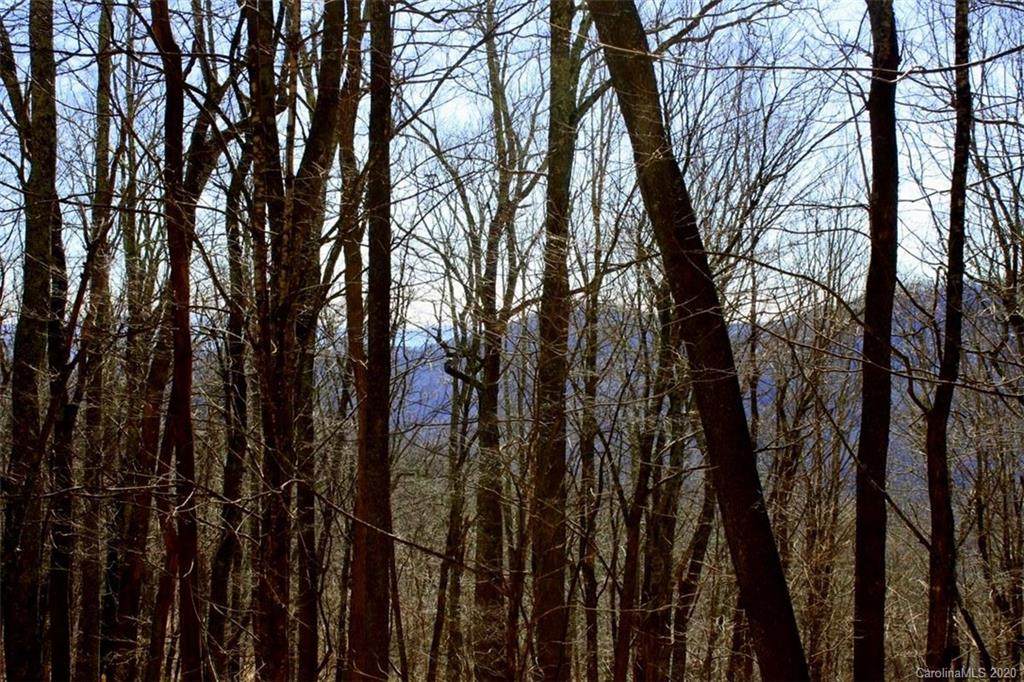 300 Tearshirt Lane - Photo 1