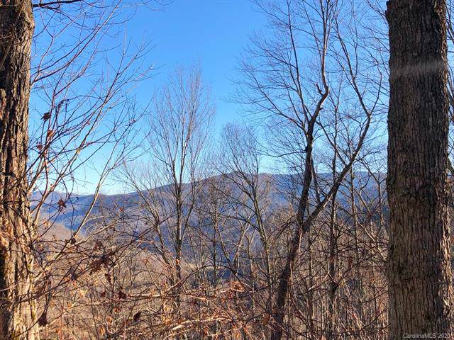 Lot 21 State Highway 197 Road - Photo 1