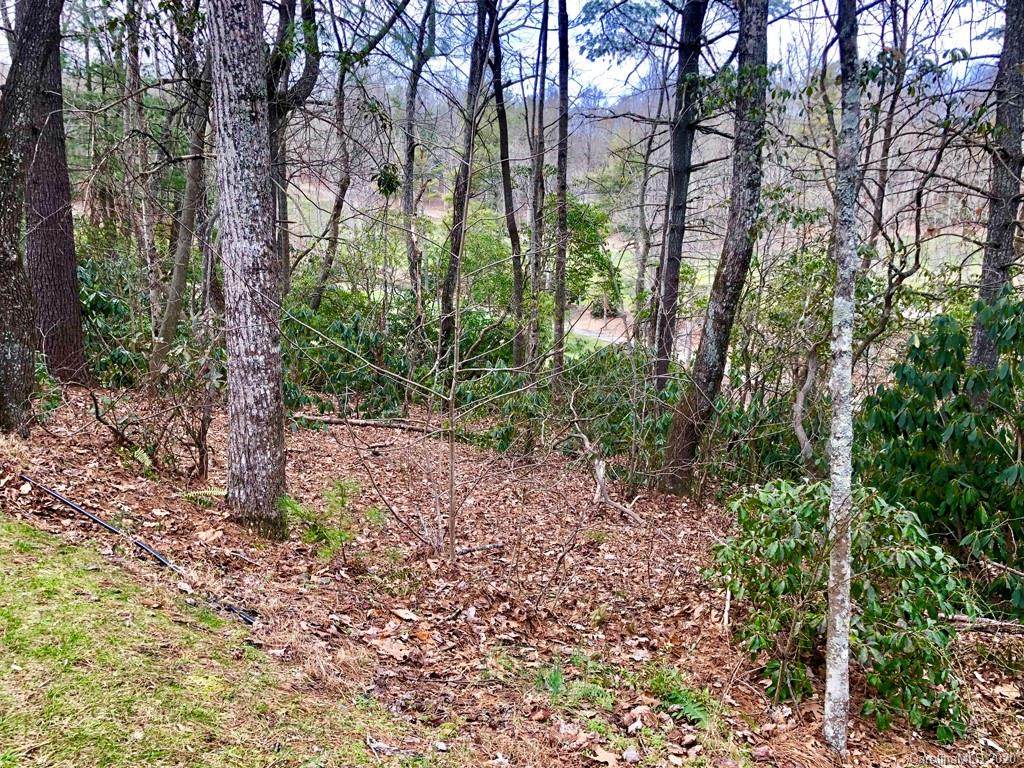 1036 Indian Cave Road - Photo 1