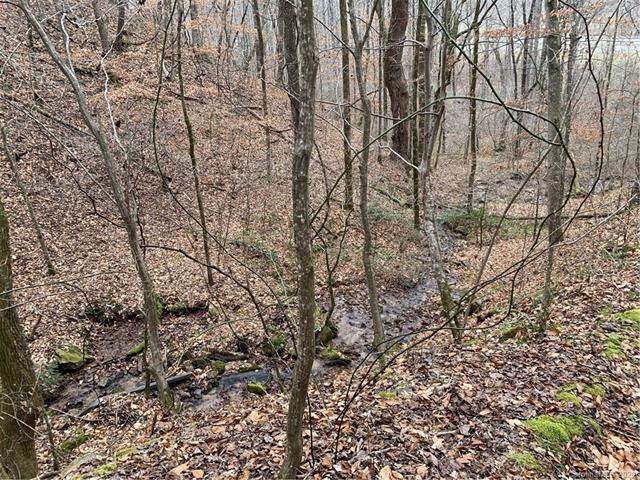 TBD Big Buck Trail - Photo 1