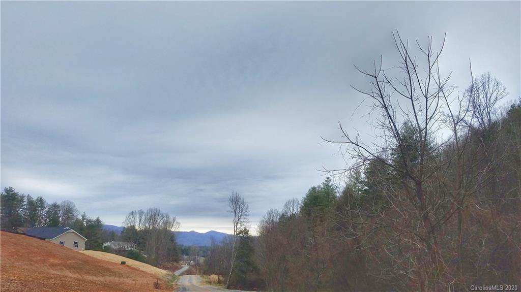Lot 6 Blackberry Cove Drive - Photo 1