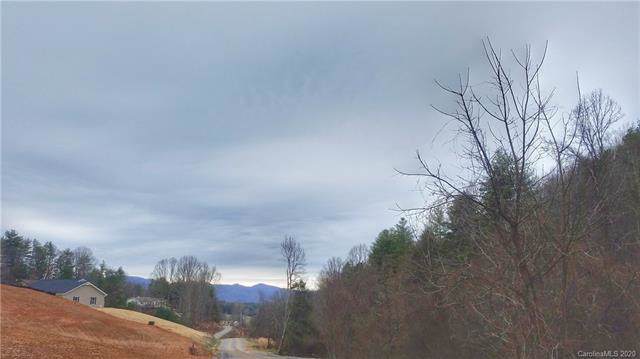 Lot 6 Blackberry Cove Drive - Photo 1
