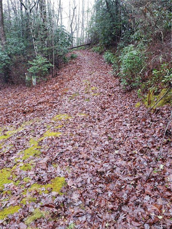 Lot 98 Laurel Thicket Drive - Photo 1