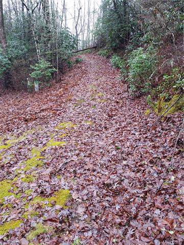 Lot 98 Laurel Thicket Drive - Photo 1 Lot 98 Laurel Thicket Drive - Photo 1