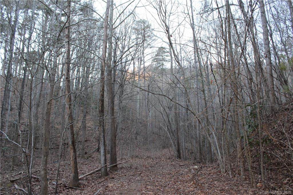 000 Rockwood Lane - Photo 1