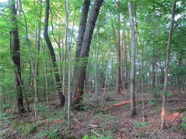Lot 47 Timberlake Lane - Photo 1