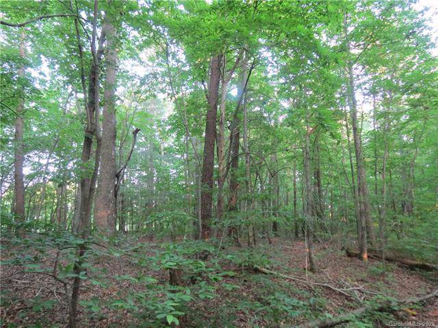 Lot 46 Timberlake Lane - Photo 1