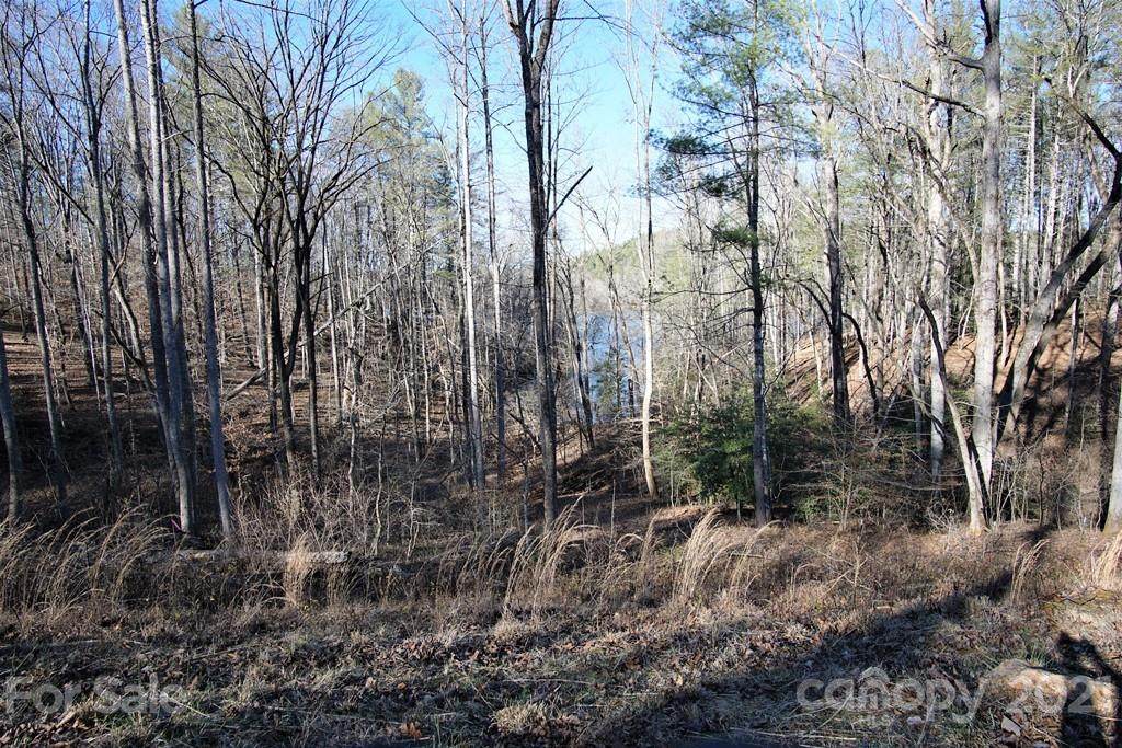 316 E Settings Boulevard - Photo 1