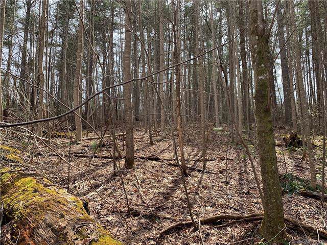 00 Berea Church Road - Photo 1