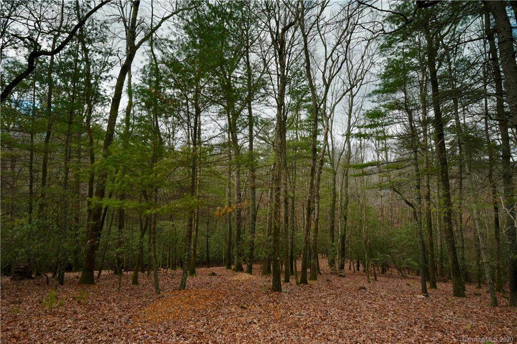41 Dividing Ridge Trail - Photo 1