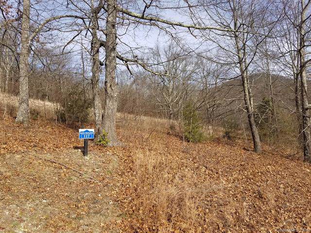 117 Autumn Sky Drive - Photo 1
