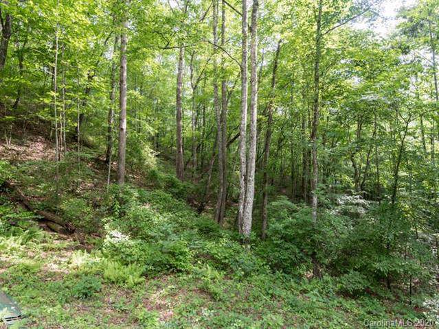 000 Ironwood Lane - Photo 1