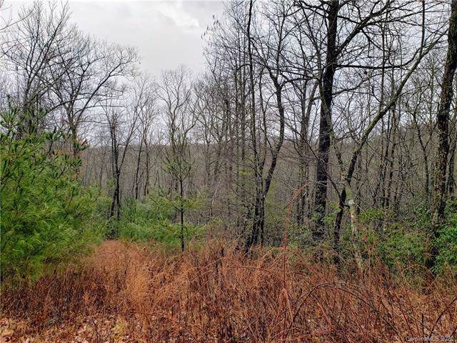 Lot 45 Big Branch Road - Photo 1