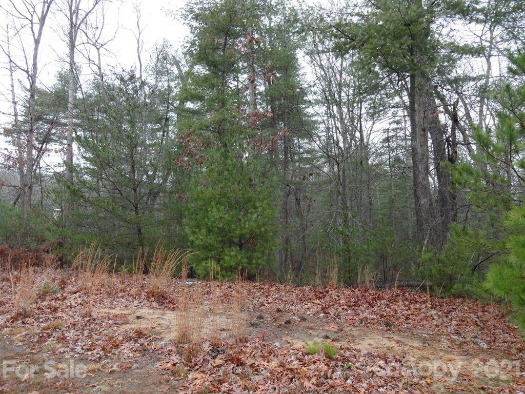 LOT 24 Cedar Hill Drive - Photo 1