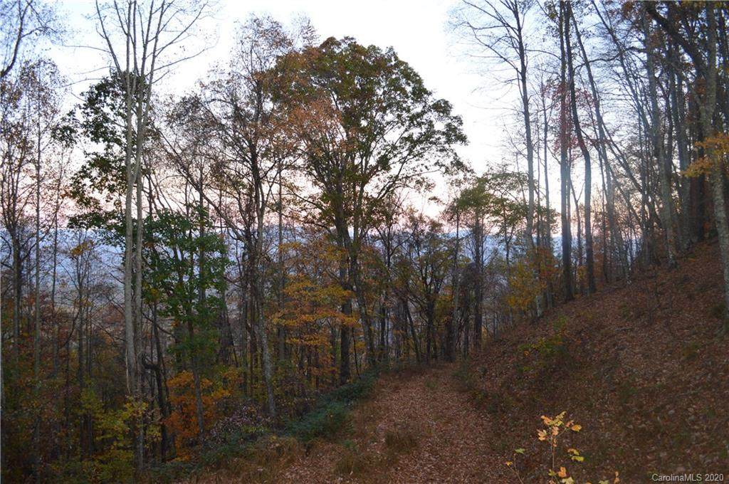 0000 Skeenah Road - Photo 1