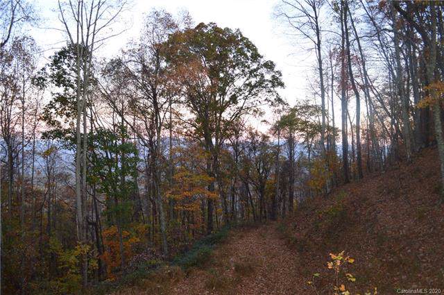 0000 Skeenah Road - Photo 1