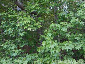 7261 Stokes Ferry Road - Photo 1