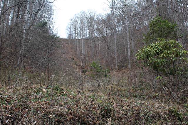 0 Dark Branch Road - Photo 1