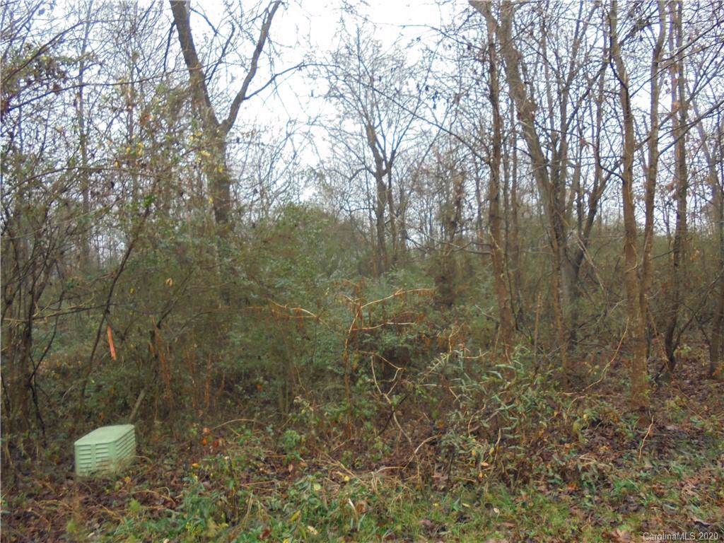 1208 Timber Spring Lane - Photo 1