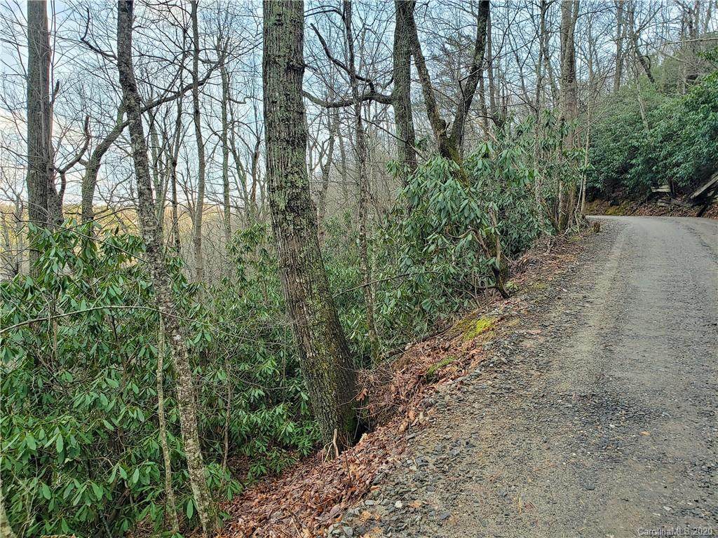 TBD Nc 9 Highway - Photo 1