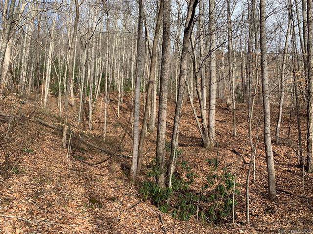 255 Justice Trail - Photo 1