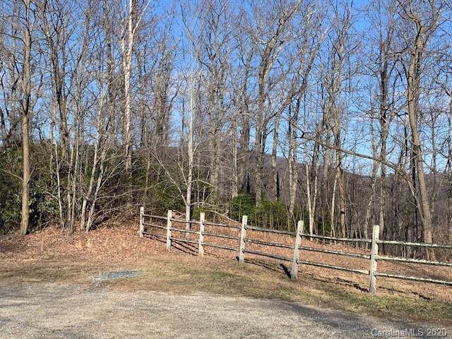 281 Old Bald Mountain Road - Photo 1