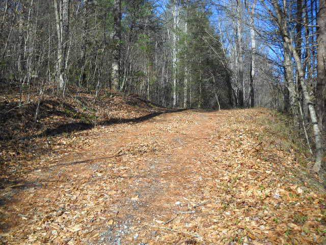 TBN Nora Mcgee Road - Photo 1