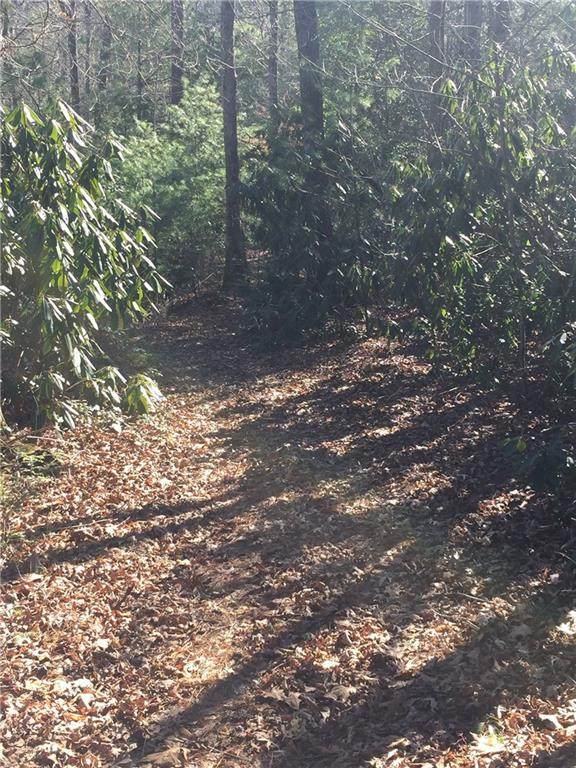 TBD Mulberry Creek Road - Photo 1