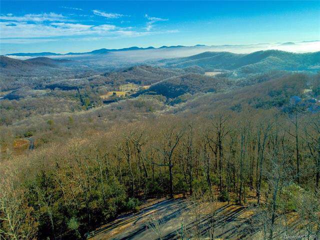 1114 Mills River Way - Photo 1