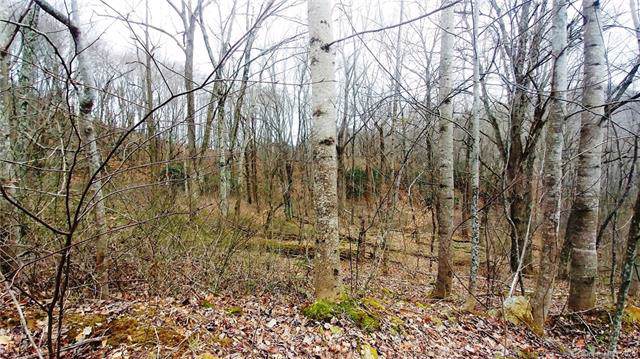 9 Split Pine Cove - Photo 1