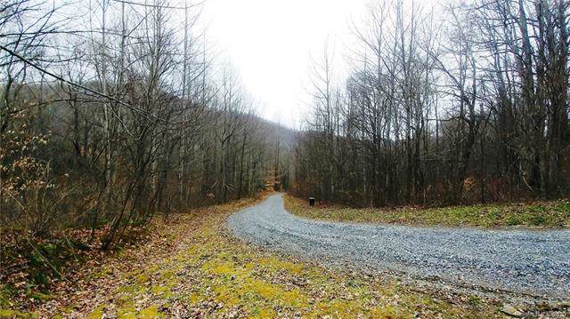 9, 10 Split Pine Cove - Photo 1