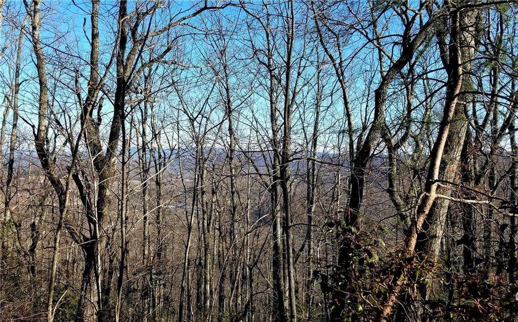 0 Mountain Crest Drive - Photo 1