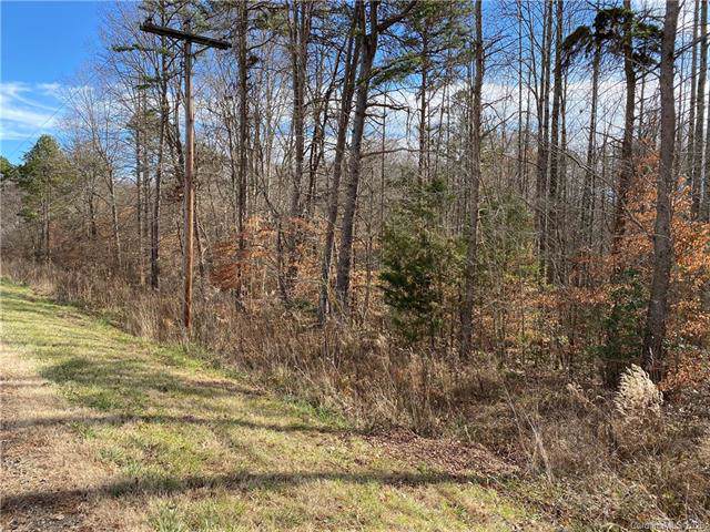 00 Powell Bridge Road - Photo 1