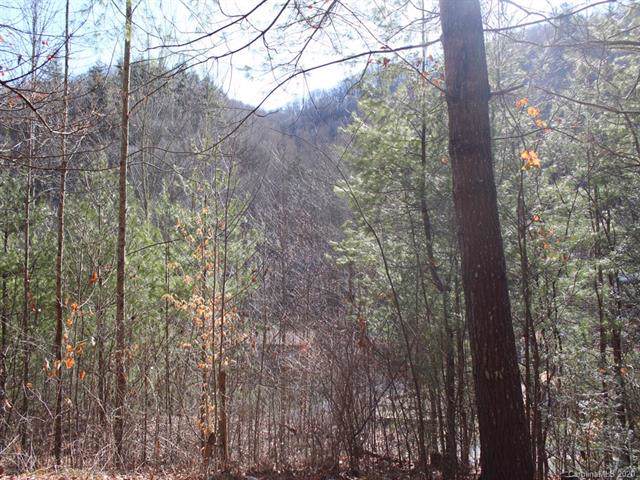 00 Laurel Branch Road - Photo 1