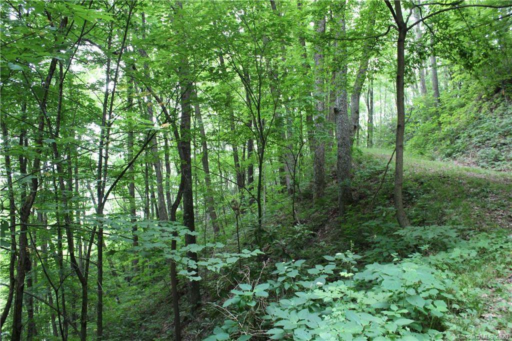 0 Teaberry Ridge Road - Photo 1